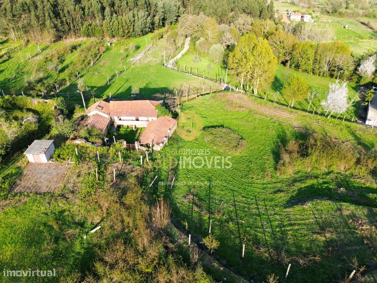 Quintinha T3 Venda em Santa Maria de Sardoura,Castelo de Paiva-29