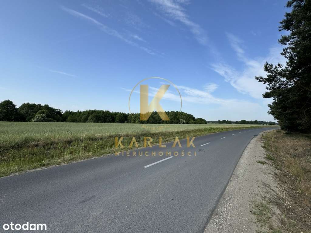 Działka rolna z przyszłością - Pełny obrazek: 5/5