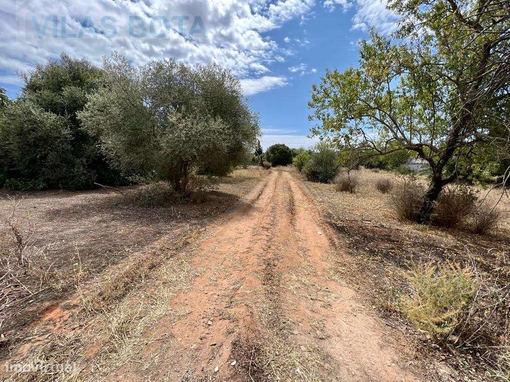 Lote de Terreno em Vale de Éguas - Grande imagem: 4/12