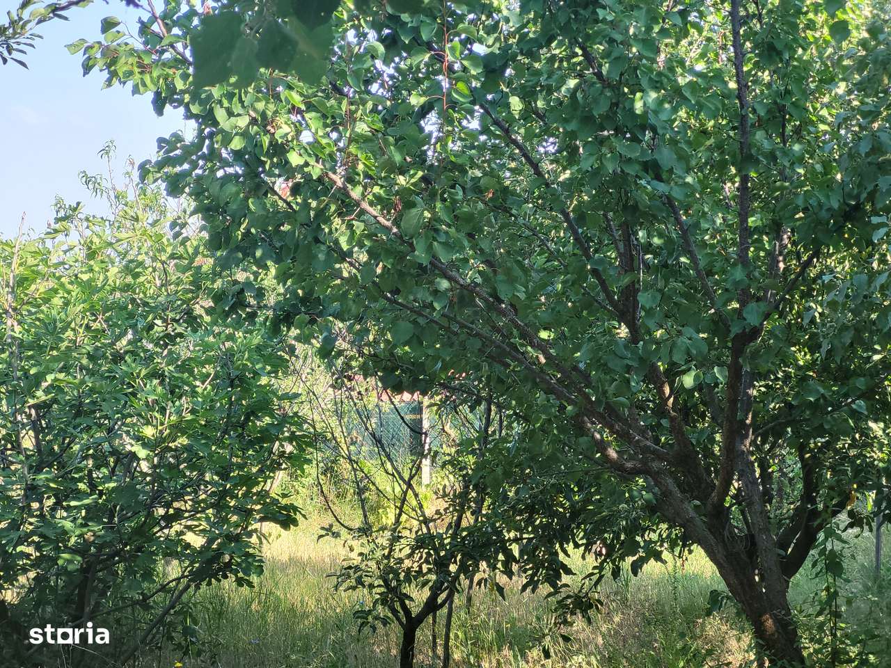 Teren cu anexa, strada Renasterii, Oradea - Imagine principală: 3/5