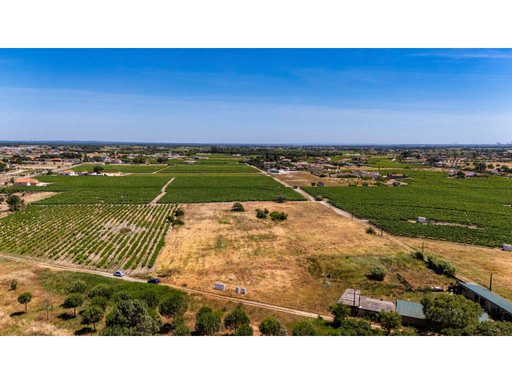 Terreno com 9.260m2 em Palmela com Potencial Construtivo (Zonamento...-8