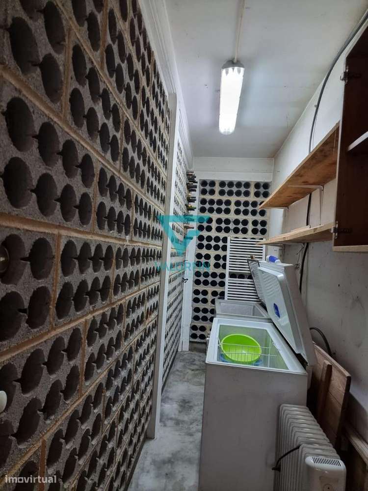 MORADIA T3 com Cave, Rés do Chão e Terreno | Batalha-21