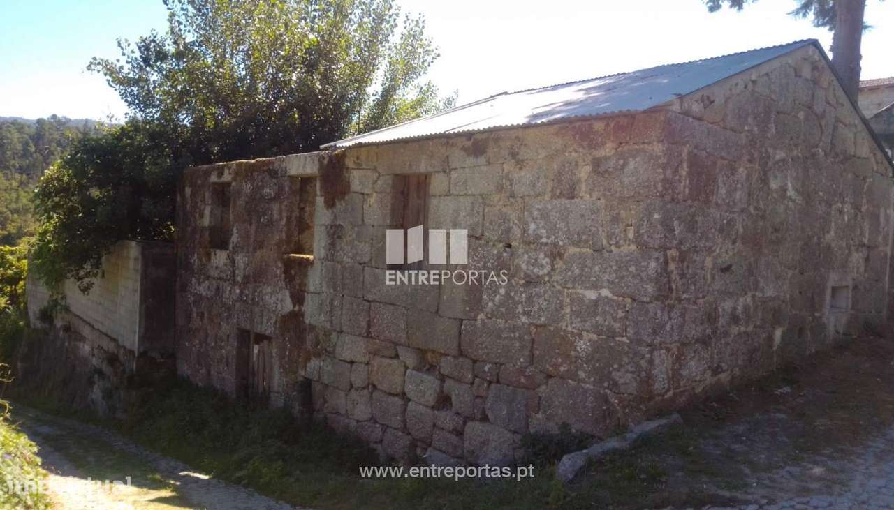 Venda Terreno com 3660 m2, Souselo, Cinfães - Grande imagem: 2/30