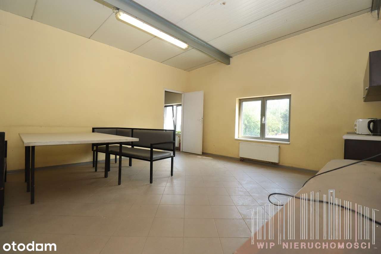 Hala w Łodzi, działka 3919 m2-2