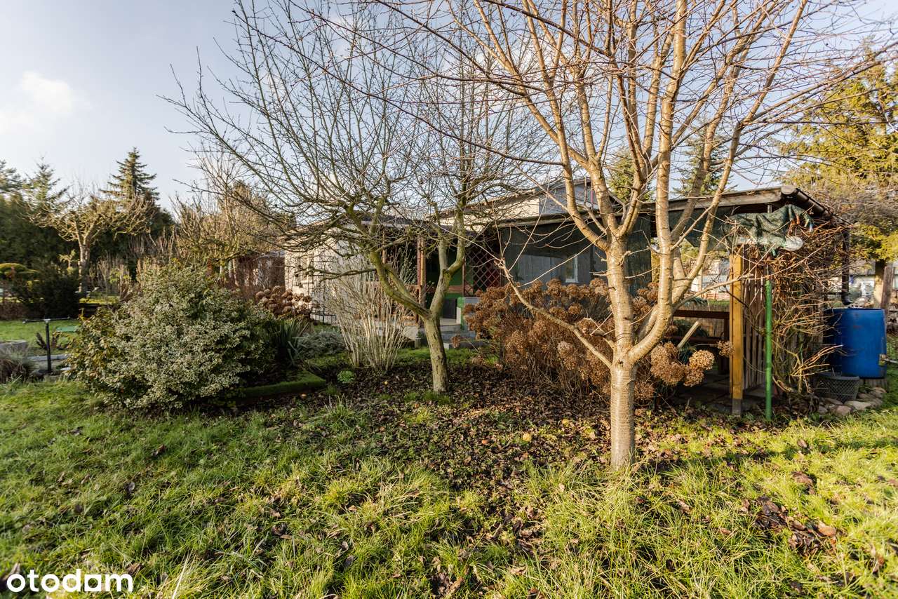 Działka ROD z DOMKIEM CAŁOROCZNYM i wjazdem na działkę samochodem-14