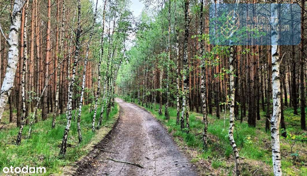 Gotowe I  Mieszkanie tuż przy lesie! - Pełny obrazek: 4/9