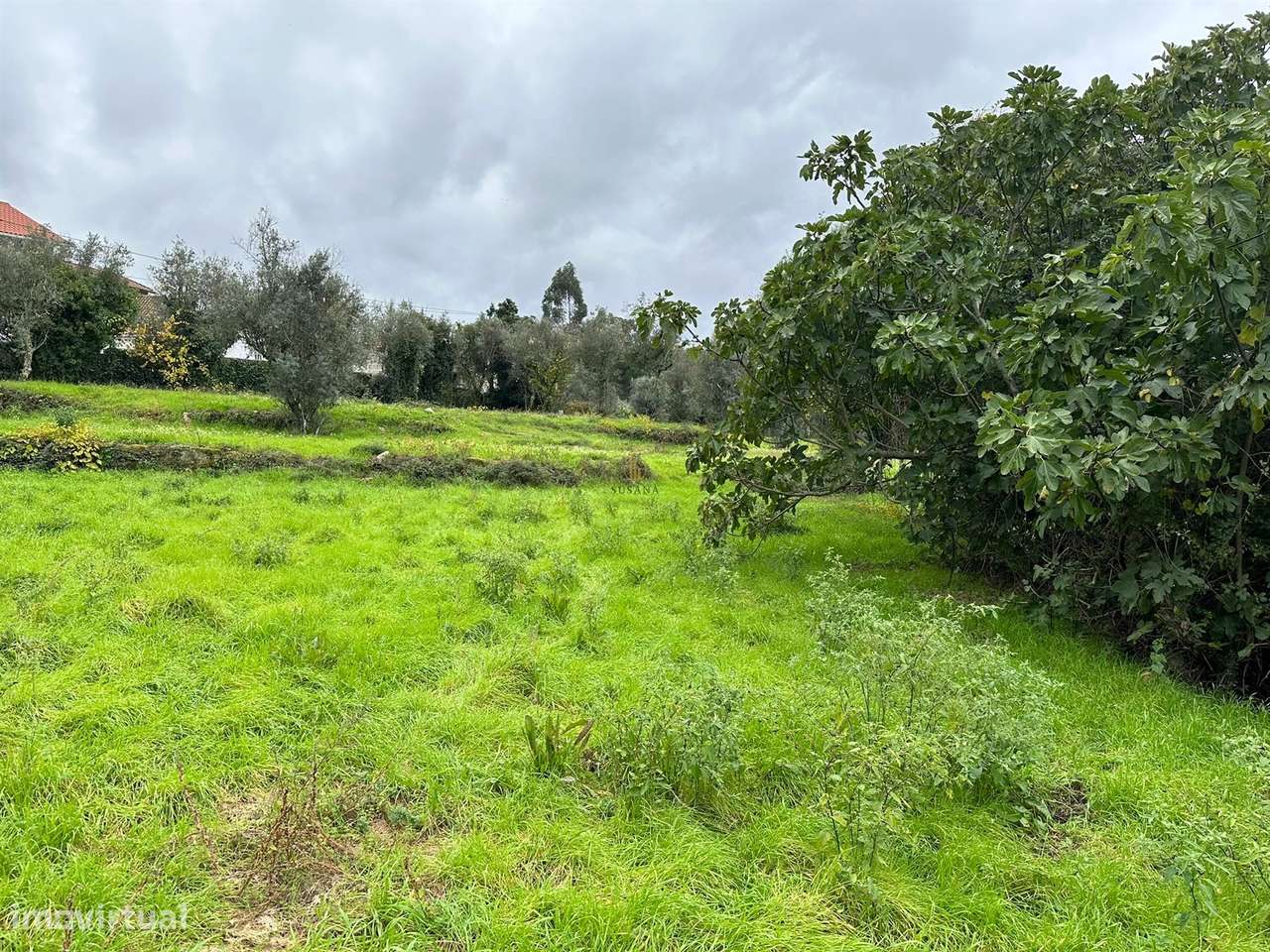 Lote de Terreno  Venda em Silgueiros,Viseu - Grande imagem: 2/8
