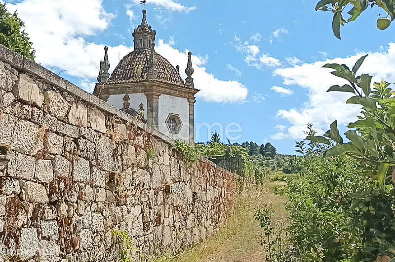 Quinta do Mosteiro de Salzedas com mais 17 ha e património histórico-54