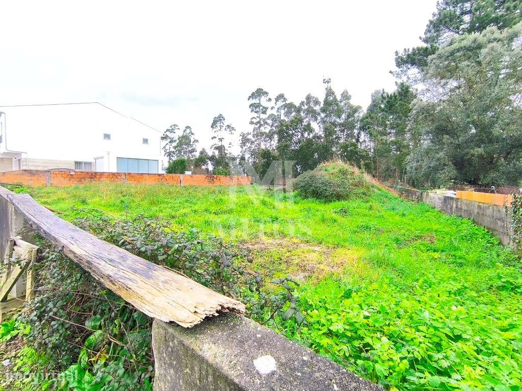 Lote de terreno para venda Forjães - Grande imagem: 5/9