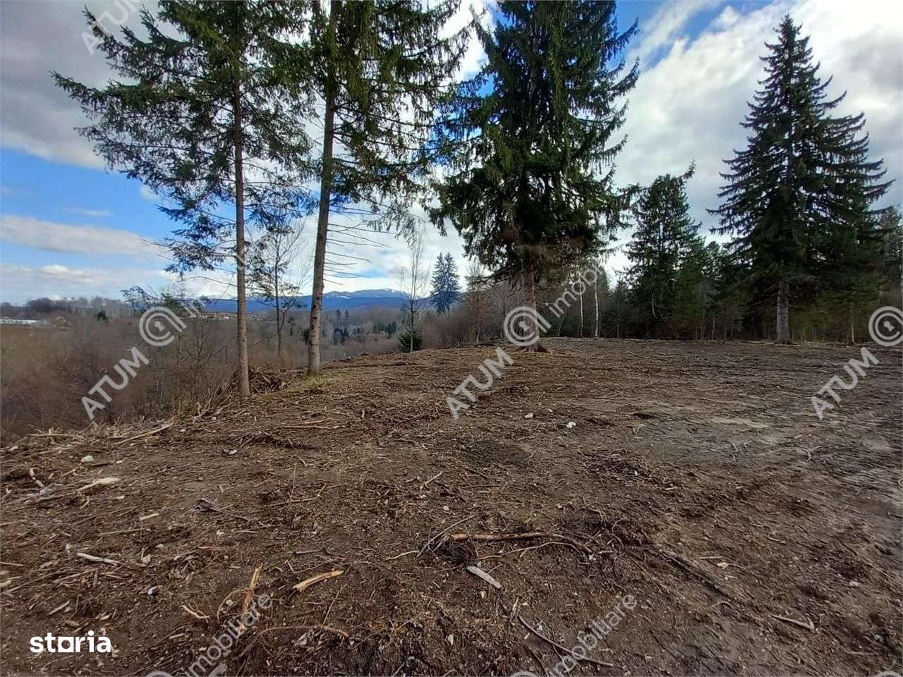 Teren intravilan 2000 mp de vanzare pe Valea Avrigului loc Avrig - Imagine principală: 3/6