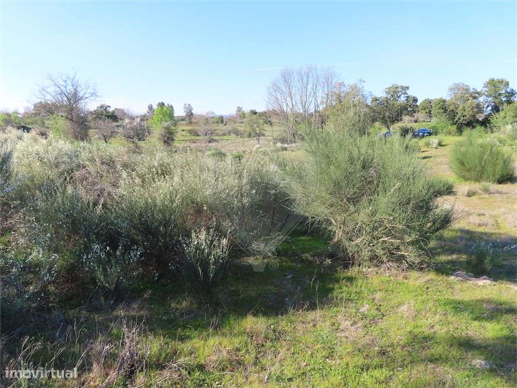 Quinta  para venda - Grande imagem: 4/19