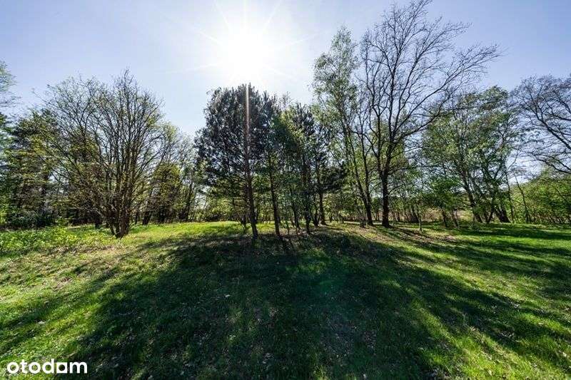 działka budowlana Uskorz Wielki - Pełny obrazek: 4/18