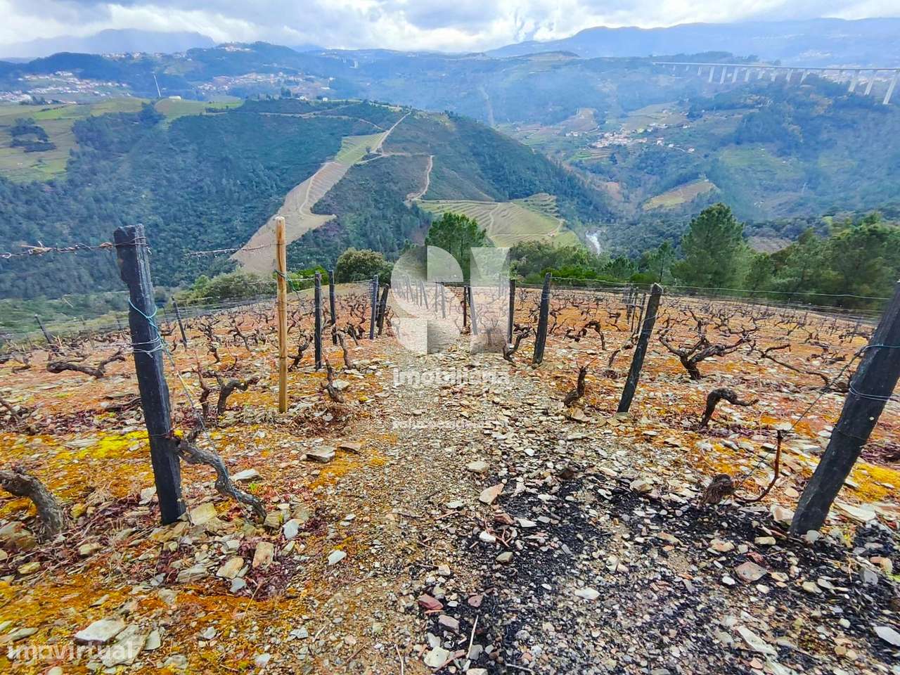 Terreno - Grande imagem: 3/16