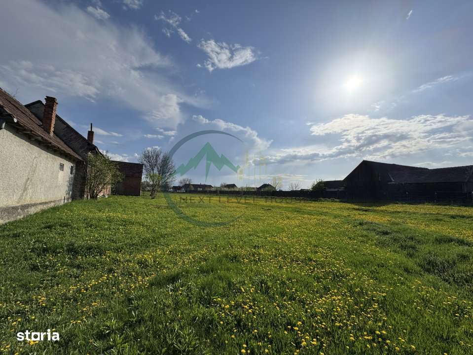 Teren 9500 mp plus Casa plus Anexe Gospodaresti - Imagine principală: 4/8