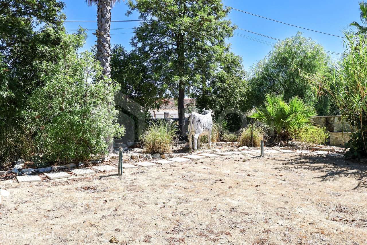 QUINTA T7 COM ALOJAMENTO LOCAL, RESTAURANTE, PISCINA E LAGO EM BEJA SÃ-52