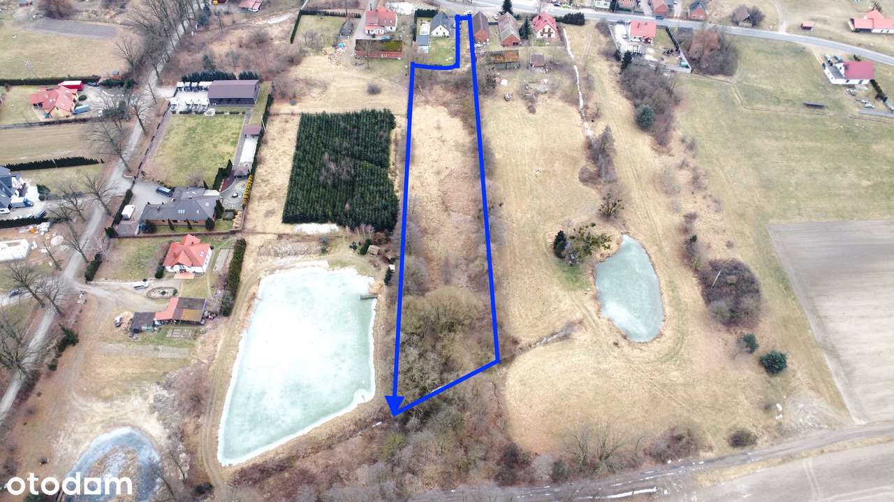 50 arów | Działka budowlana | Ogrodzona | Dojazd asfaltowy  Gogołowice-4