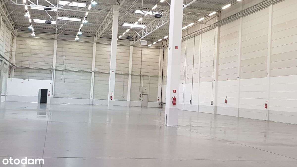 Pruszków - nowoczesna hala o pow. od 2500m2