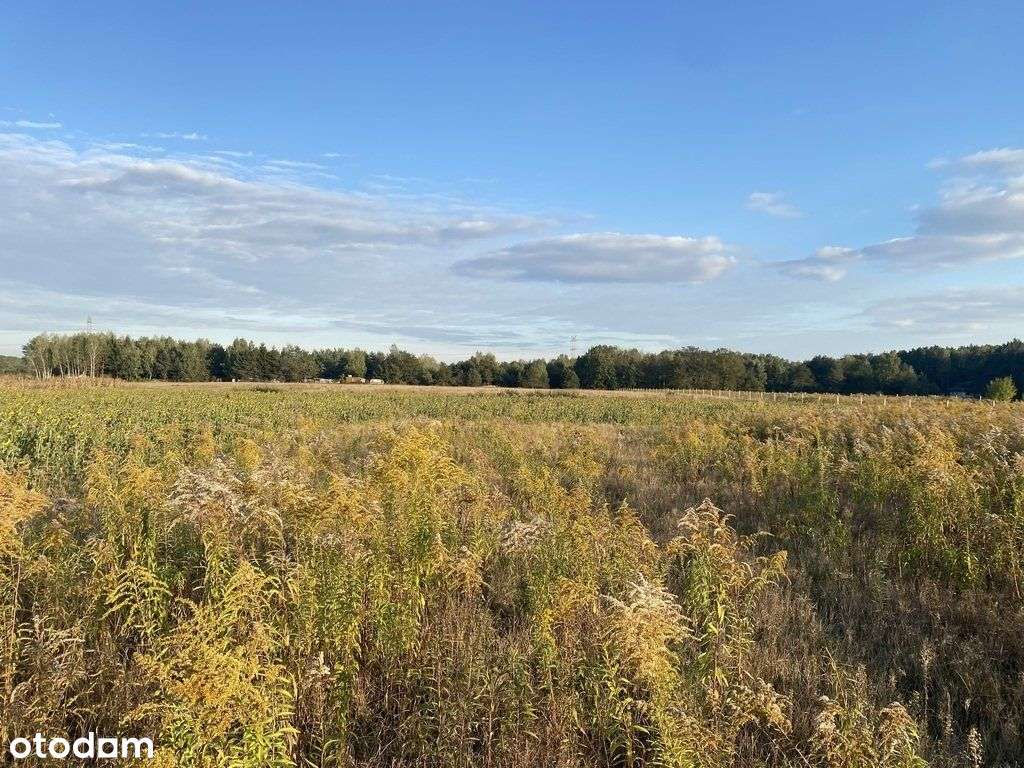 Atrakcyjna Działka Budowlana - Pełny obrazek: 5/5