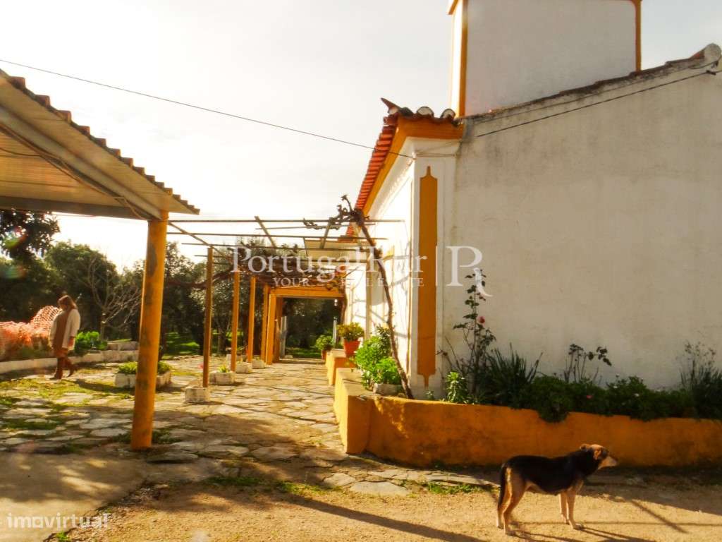 Quinta T3 em Alegrete, Portalegre - Grande imagem: 5/38