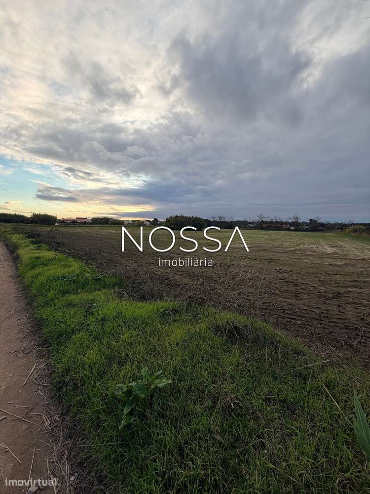 Terreno Misto de 26.520 m² na Barra Cheia – Potencial, Natureza e L...-11