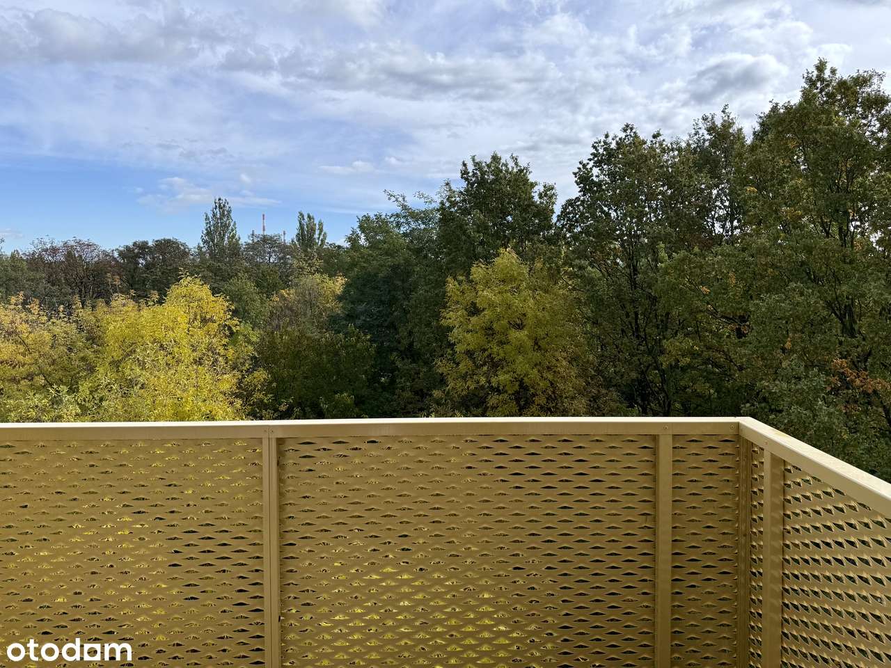 Mieszkanie z oddzielną kuchnią na Mojej Retkini - Bezpośrednio! - Pełny obrazek: 4/10