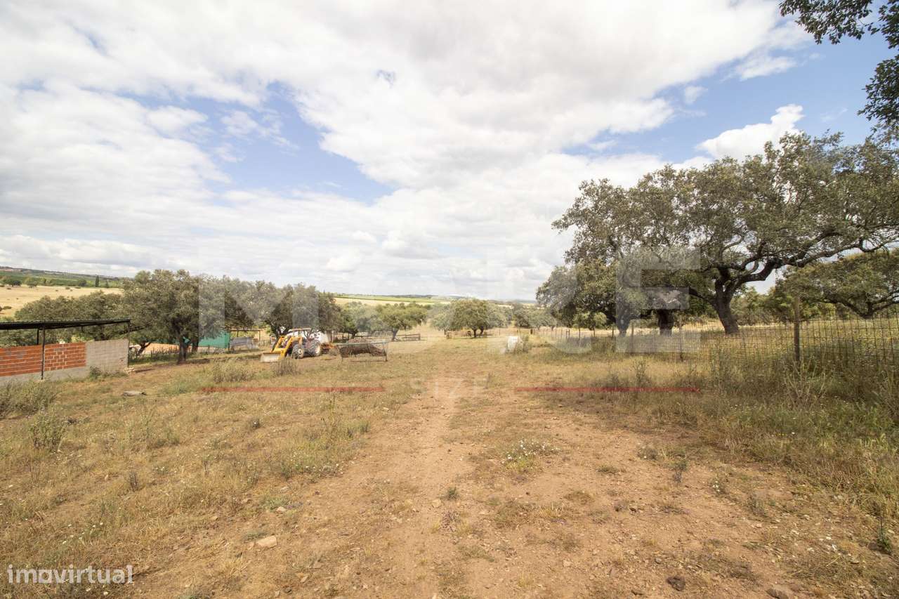 Herdade - Alvito-53