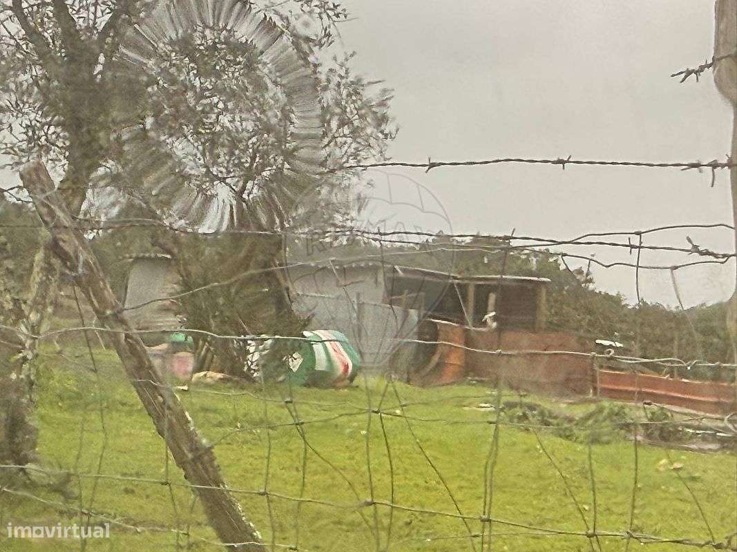 Terreno  para arrendamento - Grande imagem: 5/5