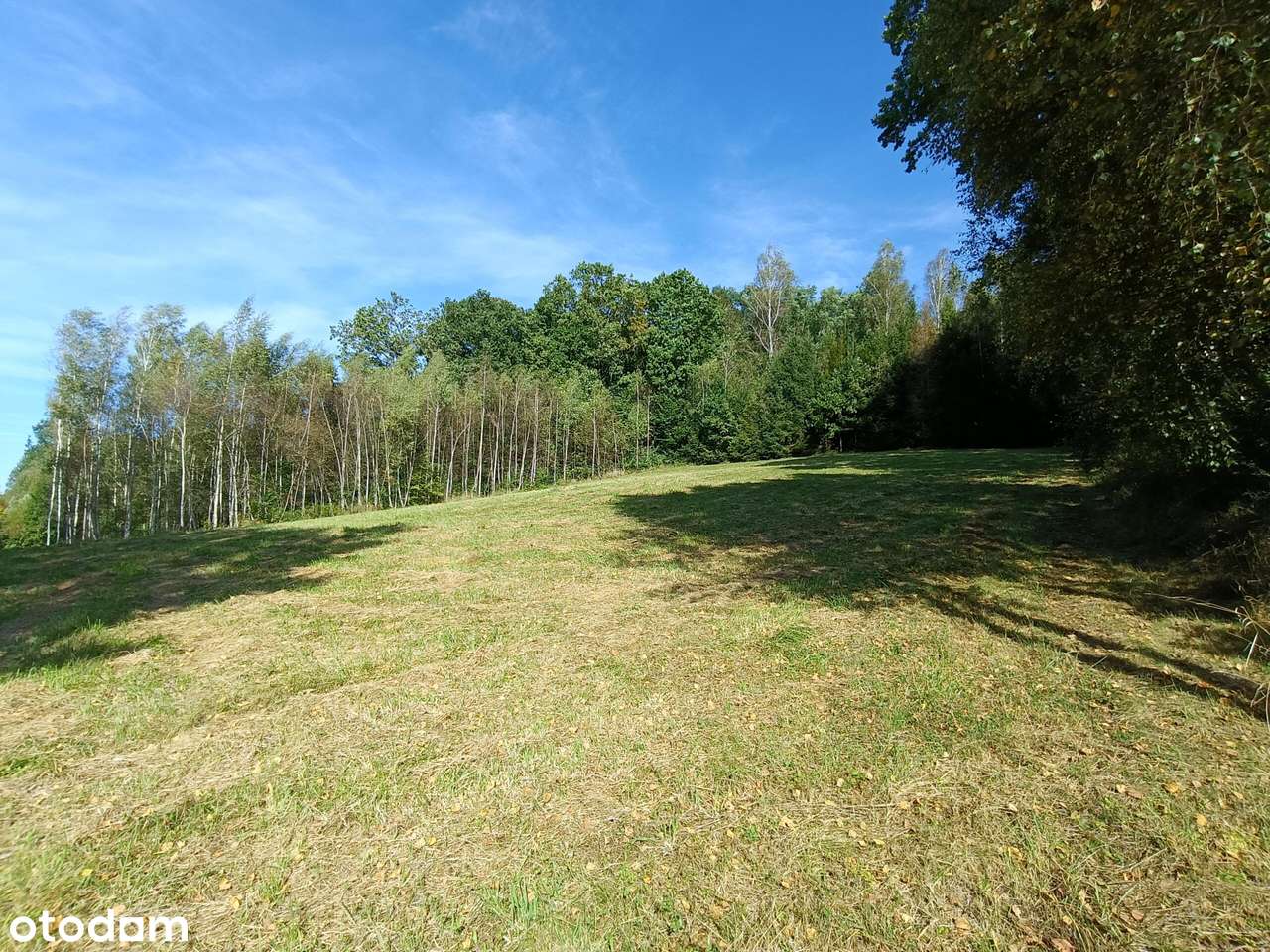 Działka w centrum Lutczy pod Twój dom. - Pełny obrazek: 5/9