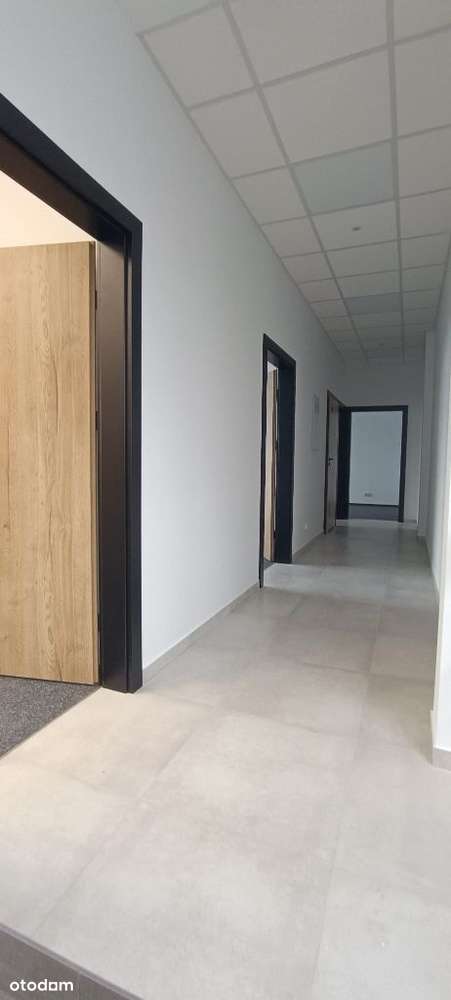 Al. 29 Listopada 170/ Biedronka, KFC /biuro/usługi - Pełny obrazek: 4/13