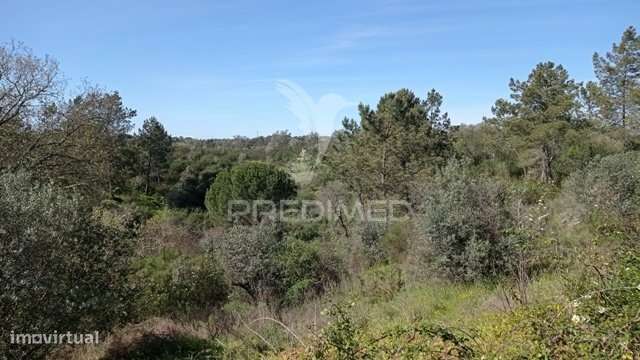 Casa de campo c/ vista barragem, Montargil - Grande imagem: 4/12