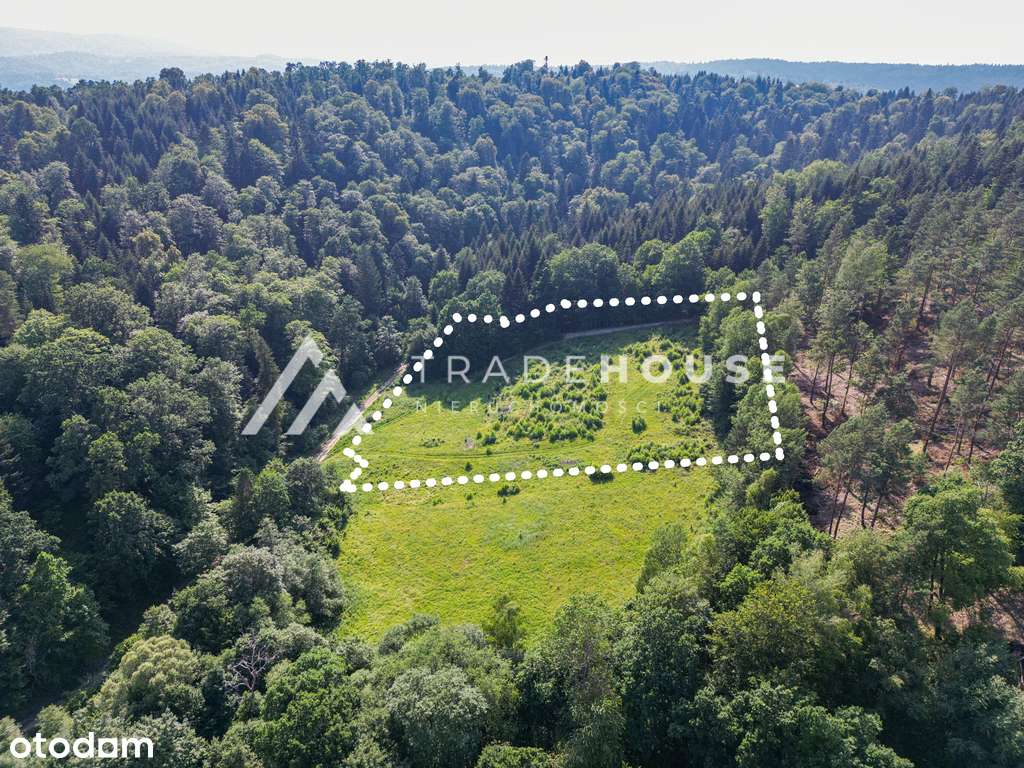 Działki z pozwoleniem na budowę w sercu natury!-3