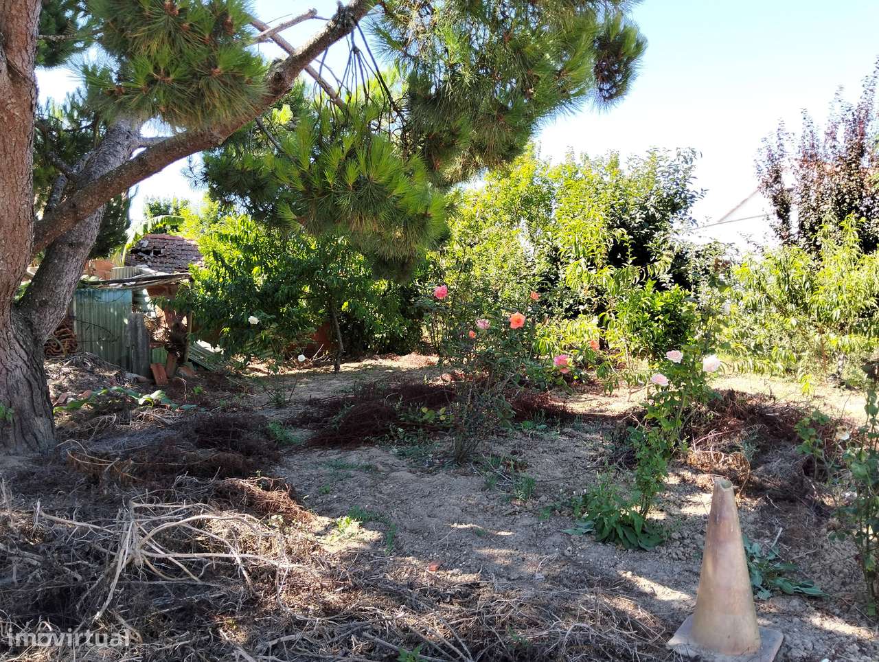 Moradia com terreno c/2 artigos Casal Jorge Dias -Alcobaça-23