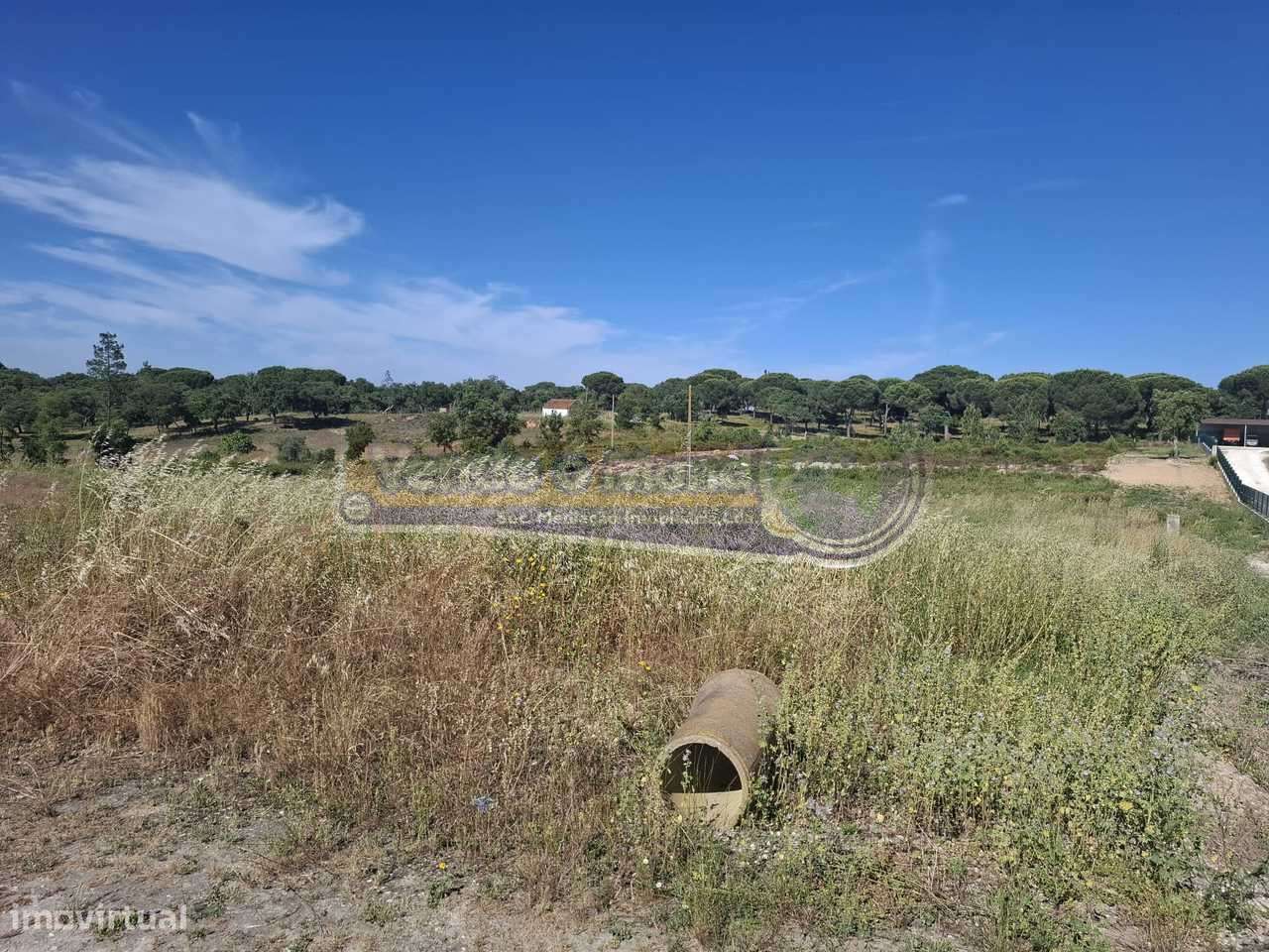 Terreno no Biscainho, Coruche (CRCH165) - Grande imagem: 4/5