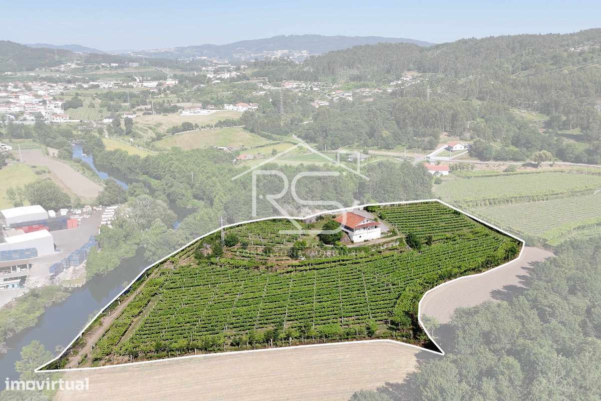 Quinta T6 | Selho São Jorge, Guimarães - Grande imagem: 5/52