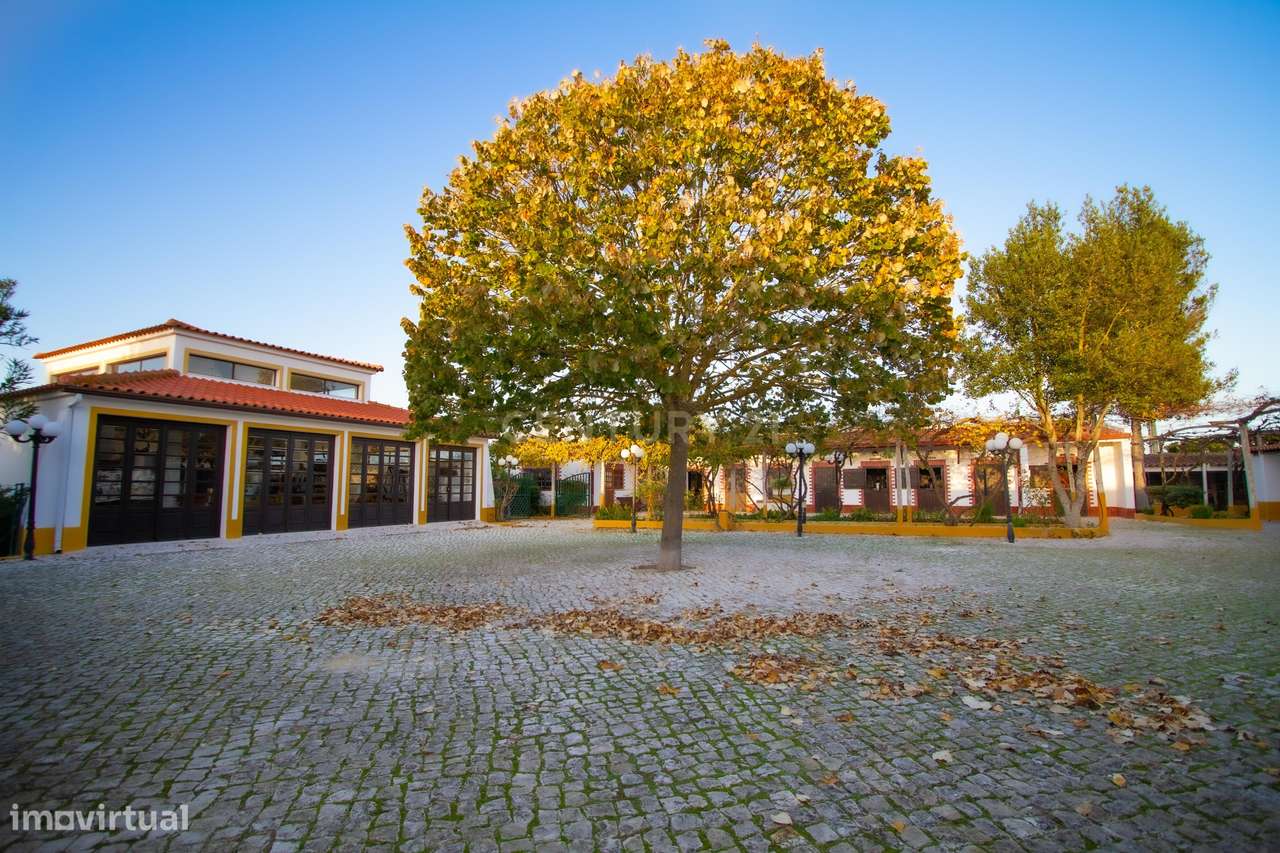 Quinta com um hectare de terreno e Picadeiro coberto em Azeitão - Grande imagem: 5/58
