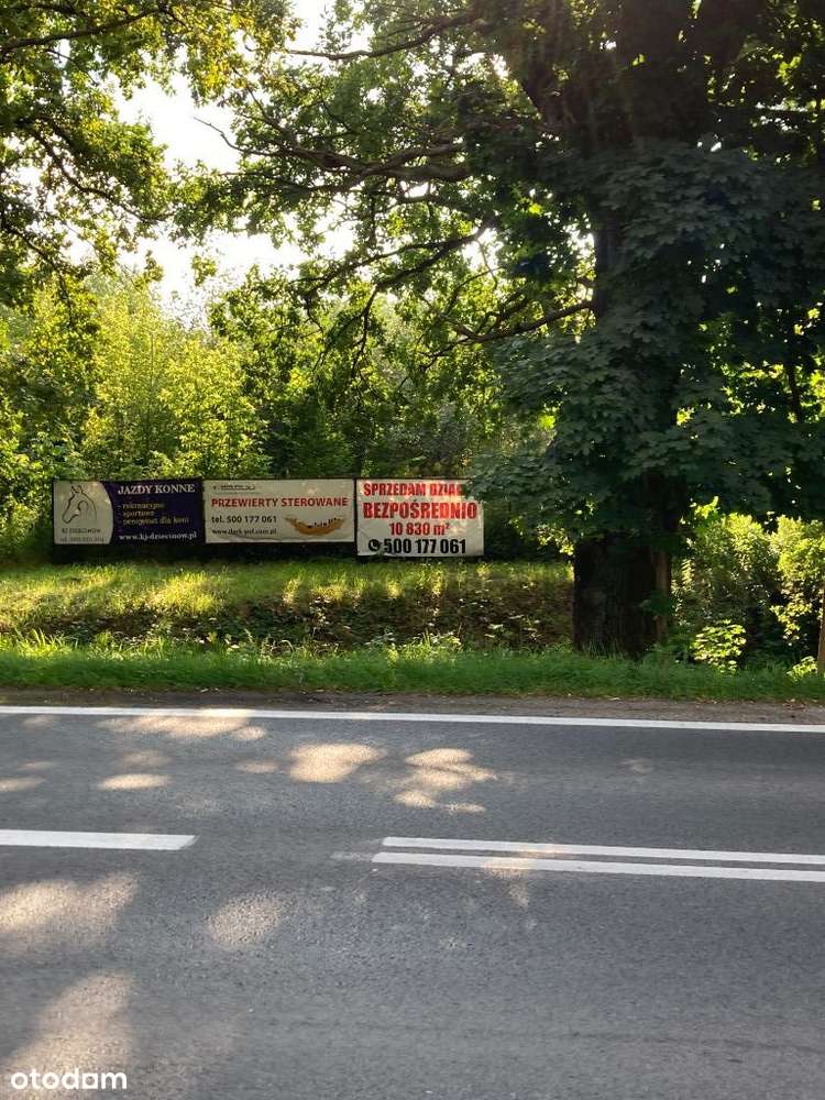 Józefów Działka Rekreacyjna 10.000m2 Bezpośrednio - Pełny obrazek: 5/8