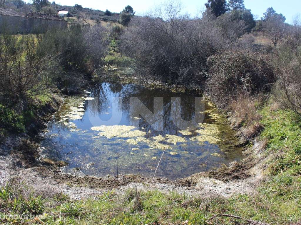 Quinta para Venda em Aldeia do Bispo, Penamacor - Grande imagem: 5/22