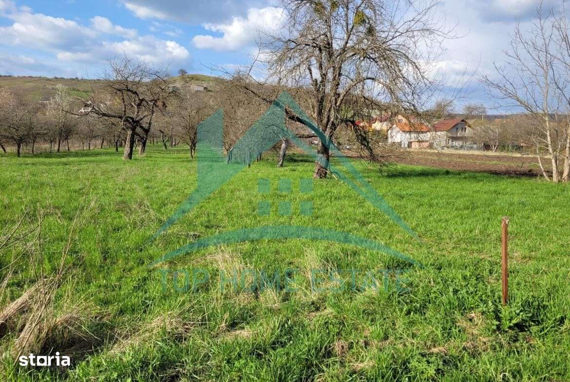 EXCLUSIVITATE! Teren intravilan de vanzare, zona linistita, sat Vlaha! - Imagine principală: 4/12