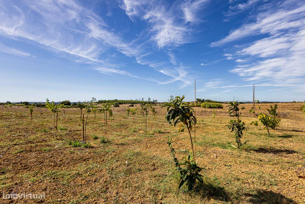 Excelente propriedade com área total de 13 680m2, localizada na Ereira-26
