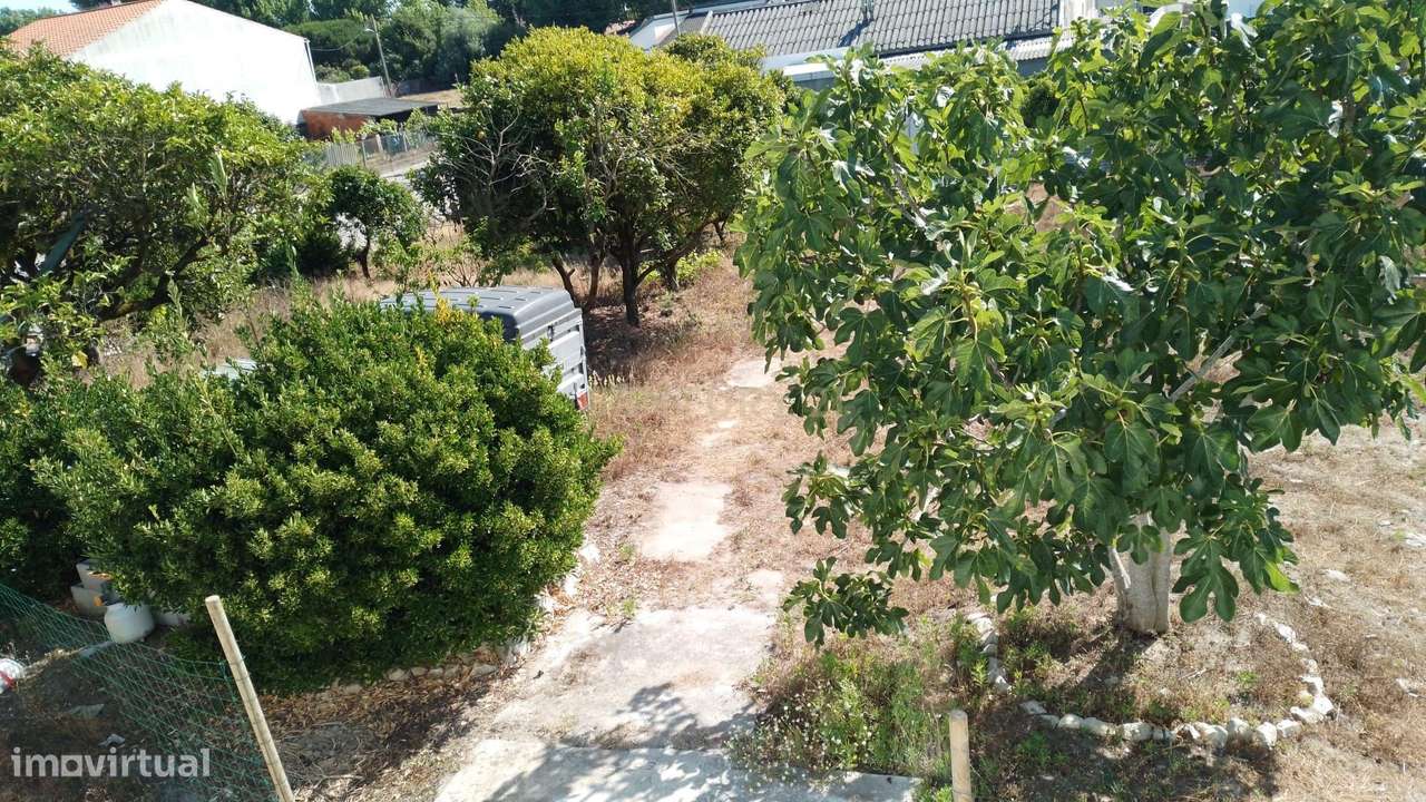 Terreno Rústico para Venda – Outeirinhos, Marinha Grande - Grande imagem: 2/4