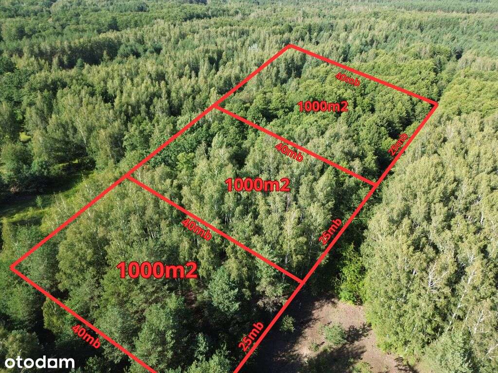 Działka nr 15/16, 1000m2, Wola Pieczyska