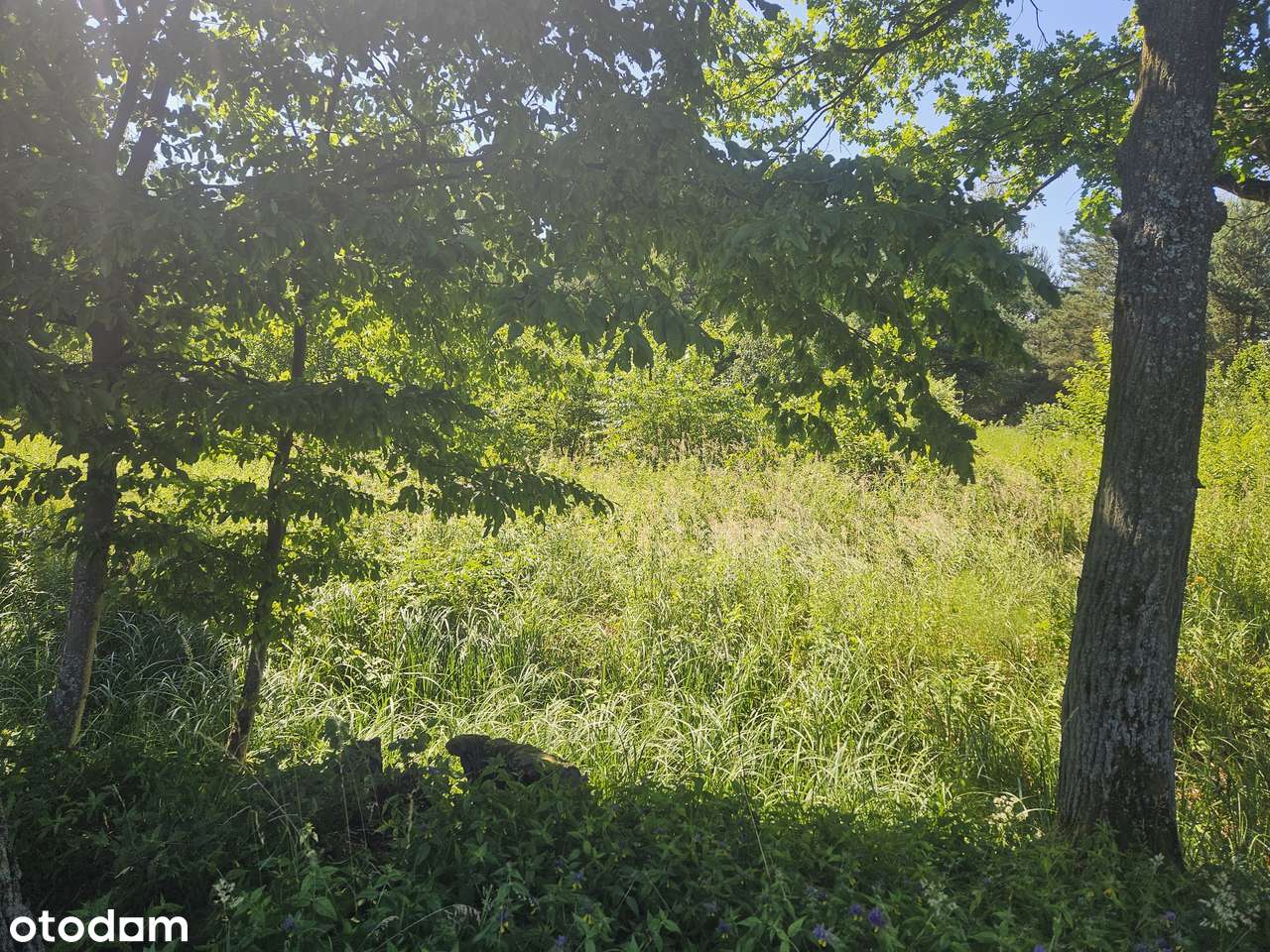 POLECAMY do sprzedaży działka budowlana w Chwałowicach-2