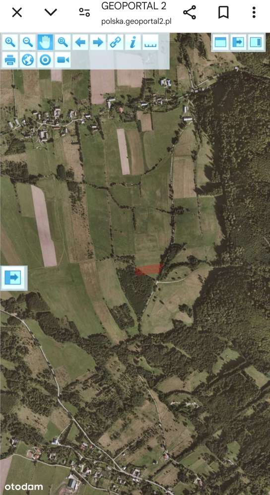 Sprzedam działkę w górach - 0,5h Jaworek - Pełny obrazek: 5/6