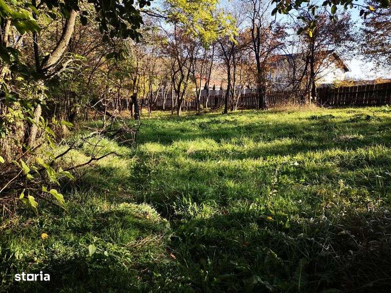 Casa in Moinesti, teren 1870m2, 90 m deschide la strada Stefan Luchian - Imagine principală: 5/8