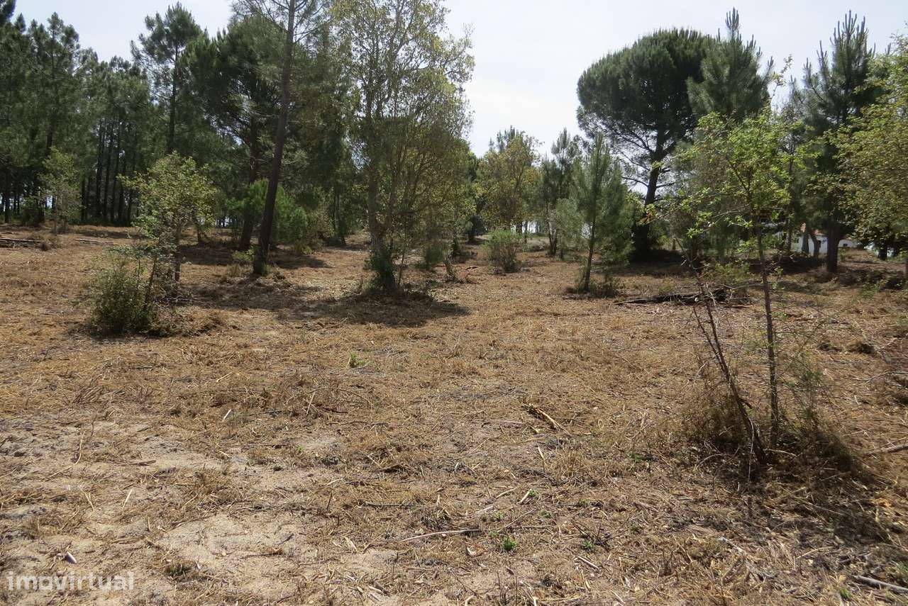 Terreno rústico de 17.000 m² em Melides-3
