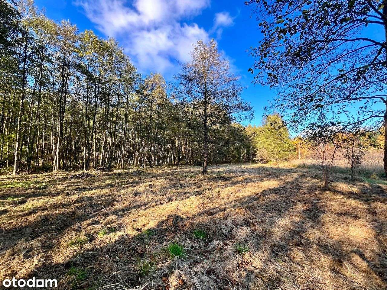 Gertrudów - działka budowlana - gmina Gomunice-8