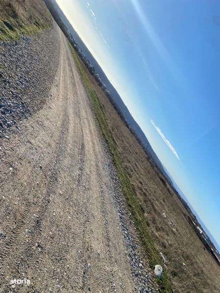 Vand Teren Simian - Imagine principală: 4/5