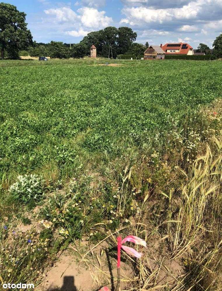 RADAWKA działka nad morzem - Pełny obrazek: 5/10