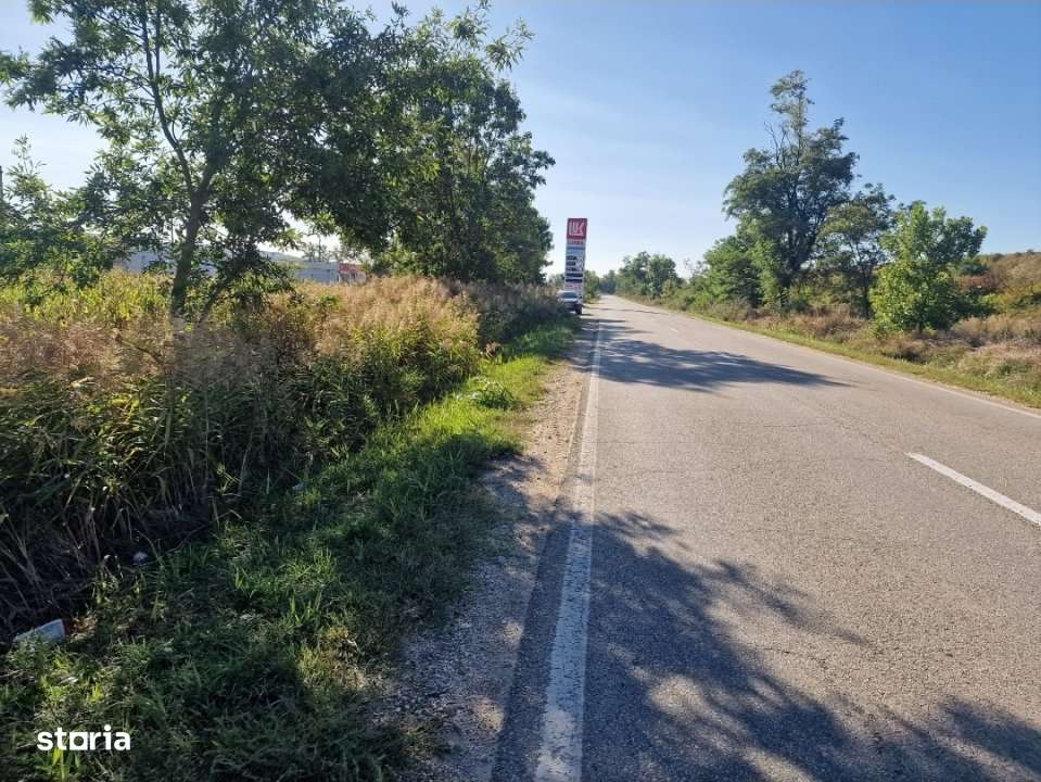 Teren Merisani! - Imagine principală: 2/2