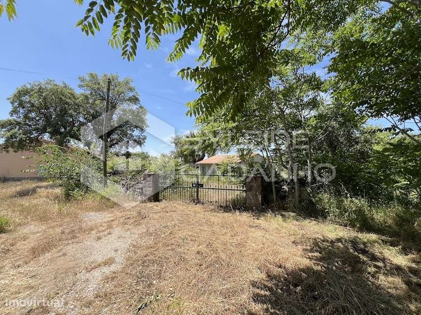 Terreno com casa agrícola para VENDA em São Miguel de Acha-10